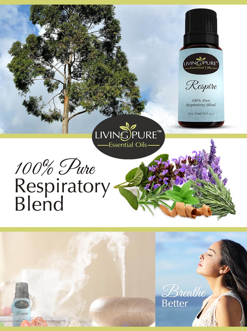 Breathing Better: Humidifiers vs. Diffusers Explained